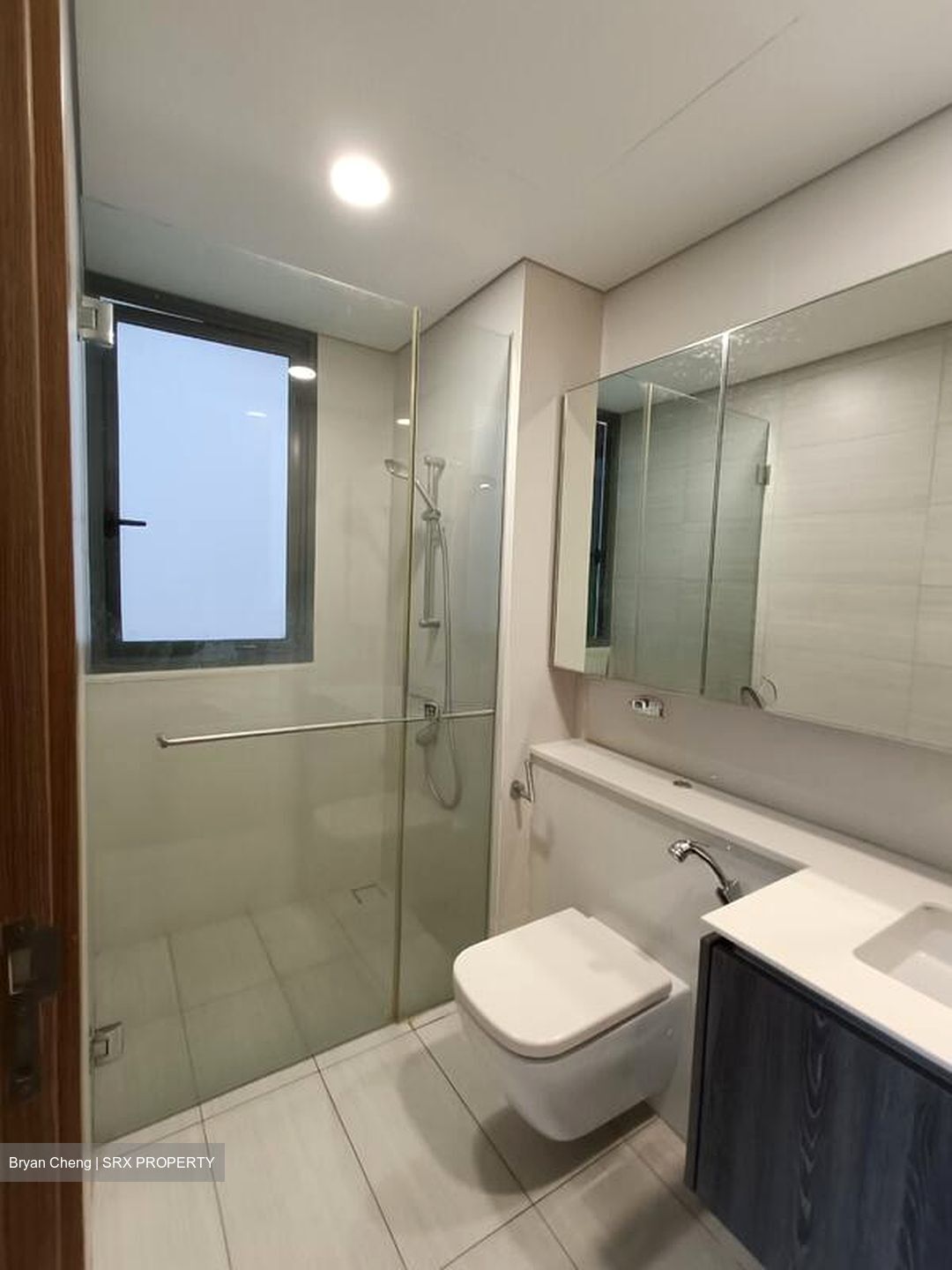 Lakeville (D22), Condominium #520225551